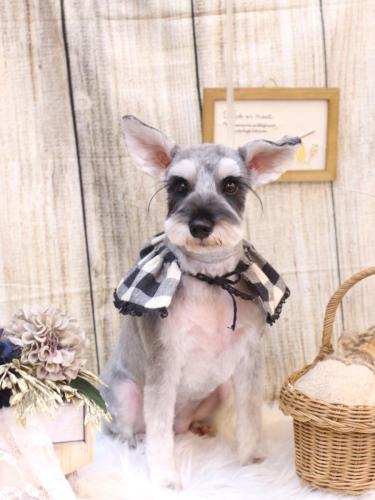 20241029コーラちゃん